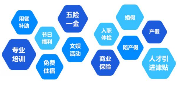 提供全面、系統(tǒng)、專業(yè)的培訓和廣闊的<br>職業(yè)發(fā)展空間和提升機會